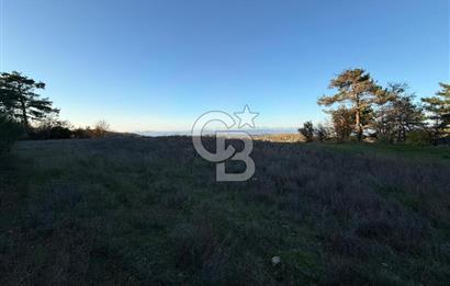 Çanakkale Kızılkeçili Köyünde 14.711 M² Satılık Tarla!