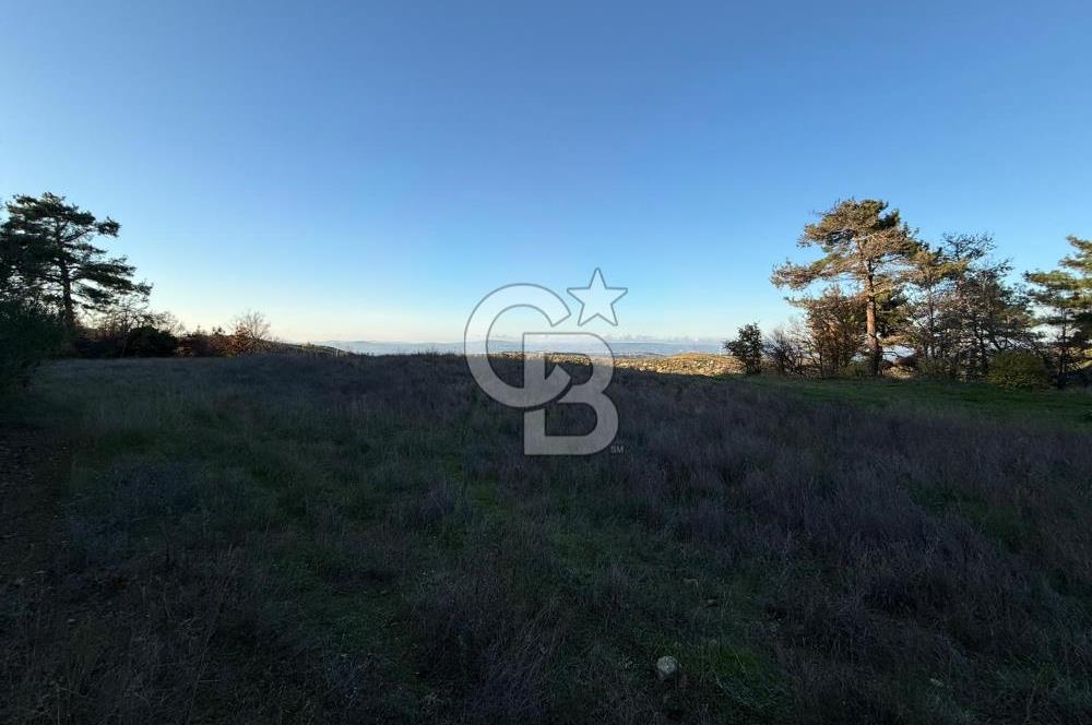 Çanakkale Kızılkeçili Köyünde 14.711 M² Satılık Tarla!