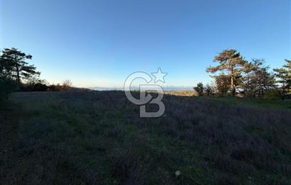 Çanakkale Kızılkeçili Köyünde 14.711 M² Satılık Tarla!