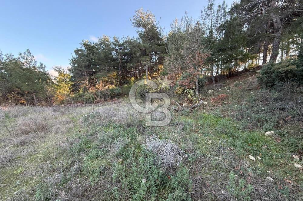 Çanakkale Kızılkeçili Köyünde 14.711 M² Satılık Tarla!