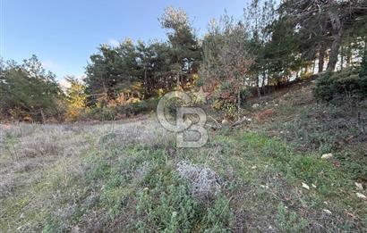 Çanakkale Kızılkeçili Köyünde 14.711 M² Satılık Tarla!