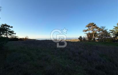 Çanakkale Kızılkeçili Köyünde 14.711 M² Satılık Tarla!