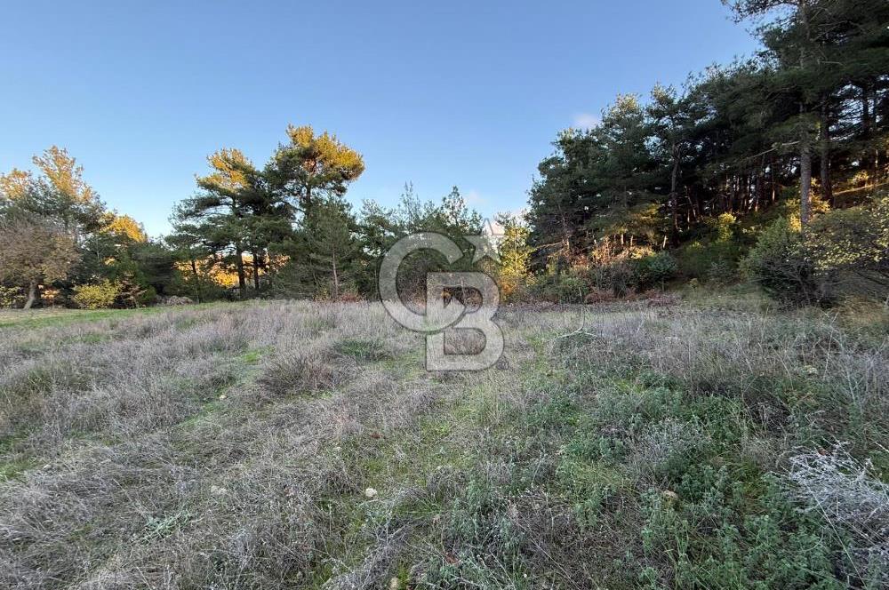 Çanakkale Kızılkeçili Köyünde 14.711 M² Satılık Tarla!