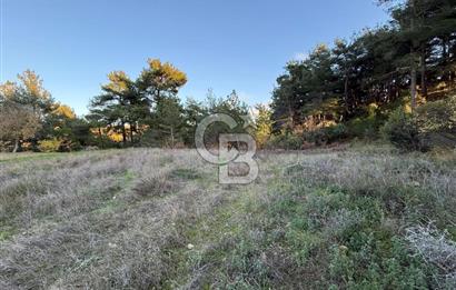 Çanakkale Kızılkeçili Köyünde 14.711 M² Satılık Tarla!