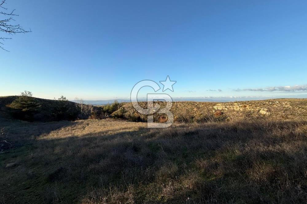 Çanakkale Kızılkeçili Köyünde 14.711 M² Satılık Tarla!