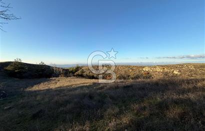 Çanakkale Kızılkeçili Köyünde 14.711 M² Satılık Tarla!