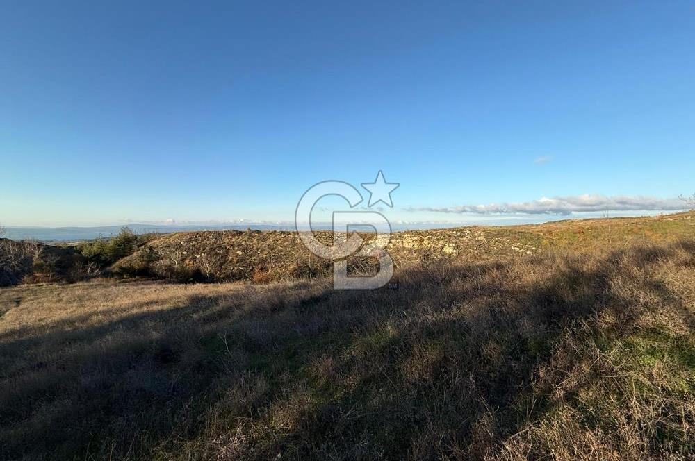 Çanakkale Kızılkeçili Köyünde 14.711 M² Satılık Tarla!