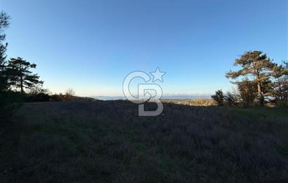 Çanakkale Kızılkeçili Köyünde 14.711 M² Satılık Tarla!