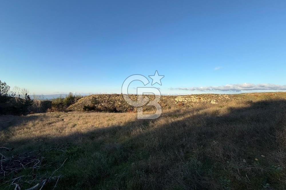 Çanakkale Kızılkeçili Köyünde 14.711 M² Satılık Tarla!