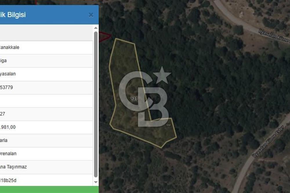 ÇANAKKALE BİGA İLYASALAN KÖYÜNDE SATILIK 2887 m2 TARLA