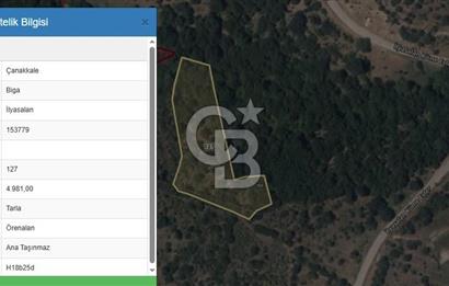 ÇANAKKALE BİGA İLYASALAN KÖYÜNDE SATILIK 2887 m2 TARLA