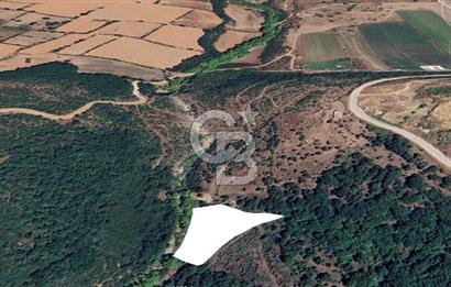 ÇANAKKALE BİGA İLYASALAN KÖYÜNDE SATILIK 2887 m2 TARLA