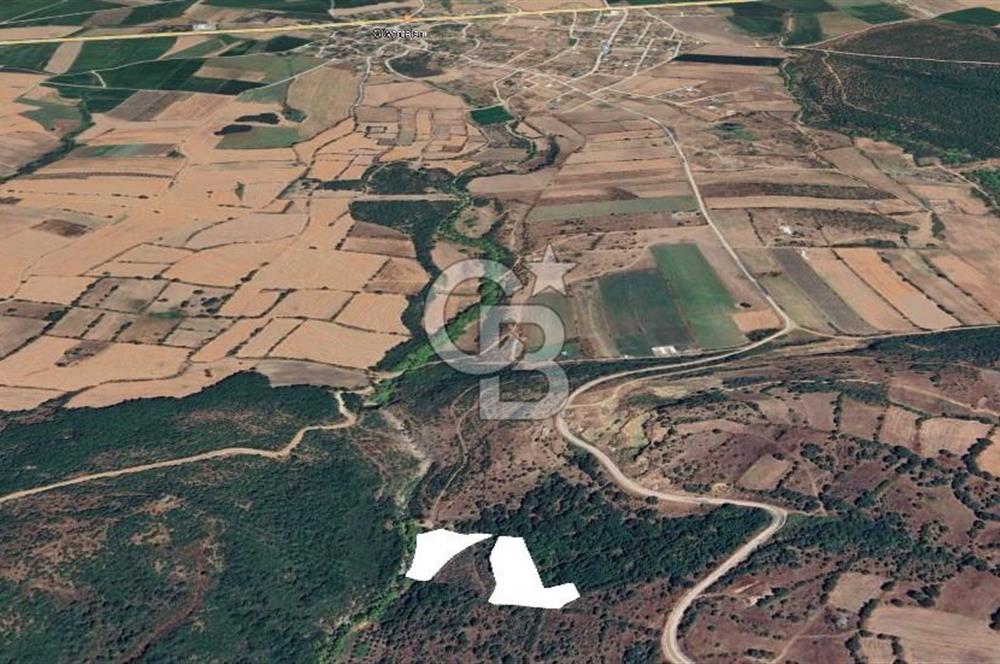 ÇANAKKALE BİGA İLYASALAN KÖYÜNDE SATILIK 2887 m2 TARLA