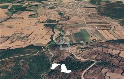 ÇANAKKALE BİGA İLYASALAN KÖYÜNDE SATILIK 2887 m2 TARLA