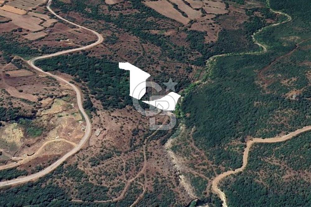 ÇANAKKALE BİGA İLYASALAN KÖYÜNDE SATILIK 2887 m2 TARLA