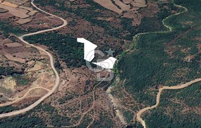 ÇANAKKALE BİGA İLYASALAN KÖYÜNDE SATILIK 2887 m2 TARLA