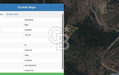 ÇANAKKALE BİGA İLYASALAN KÖYÜNDE SATILIK 2887 m2 TARLA