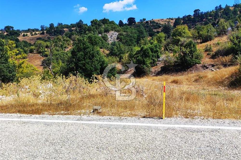 Yatırım Fırsatı,KEMER Ovacık, Anayol Üzeri Tarla