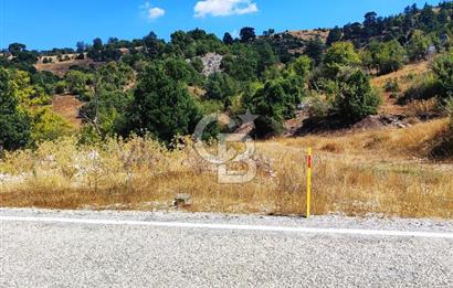 Yatırım Fırsatı,KEMER Ovacık, Anayol Üzeri Tarla