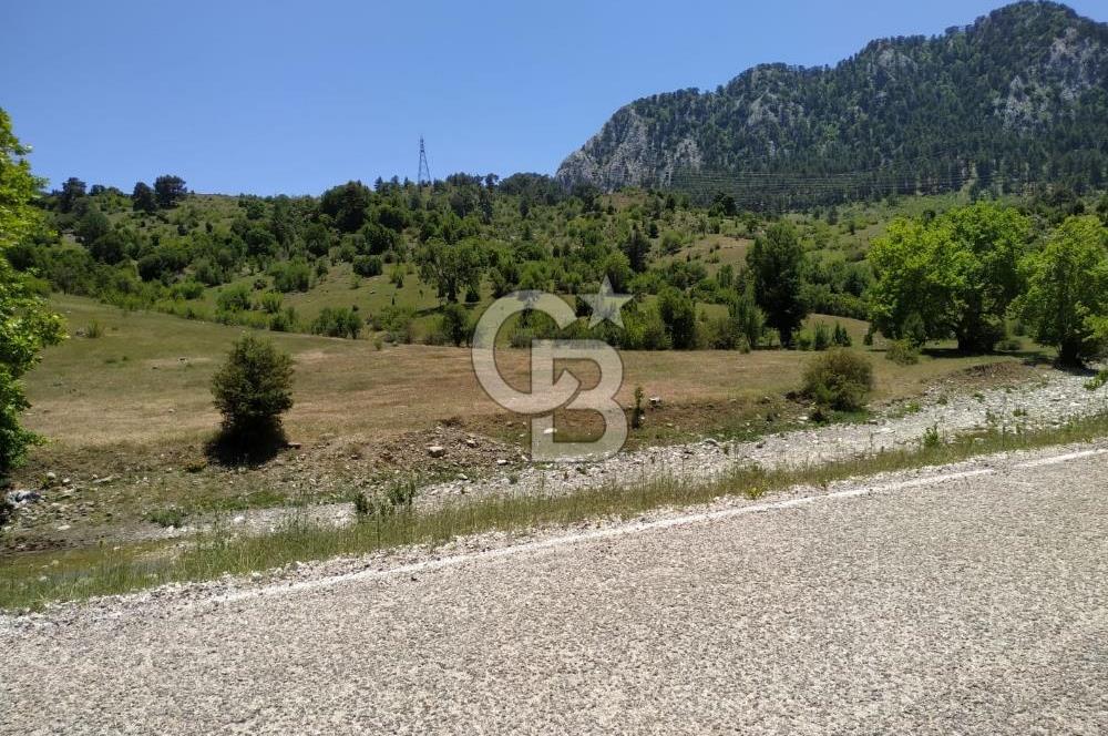 Yatırım Fırsatı,KEMER Ovacık, Anayol Üzeri Tarla