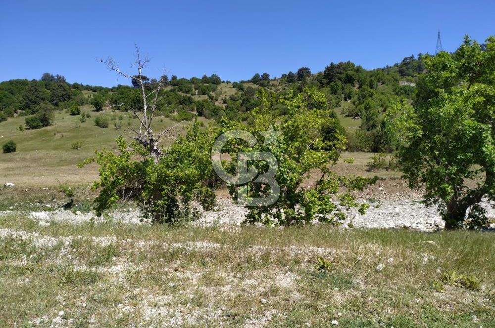 Yatırım Fırsatı,KEMER Ovacık, Anayol Üzeri Tarla