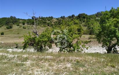Yatırım Fırsatı,KEMER Ovacık, Anayol Üzeri Tarla