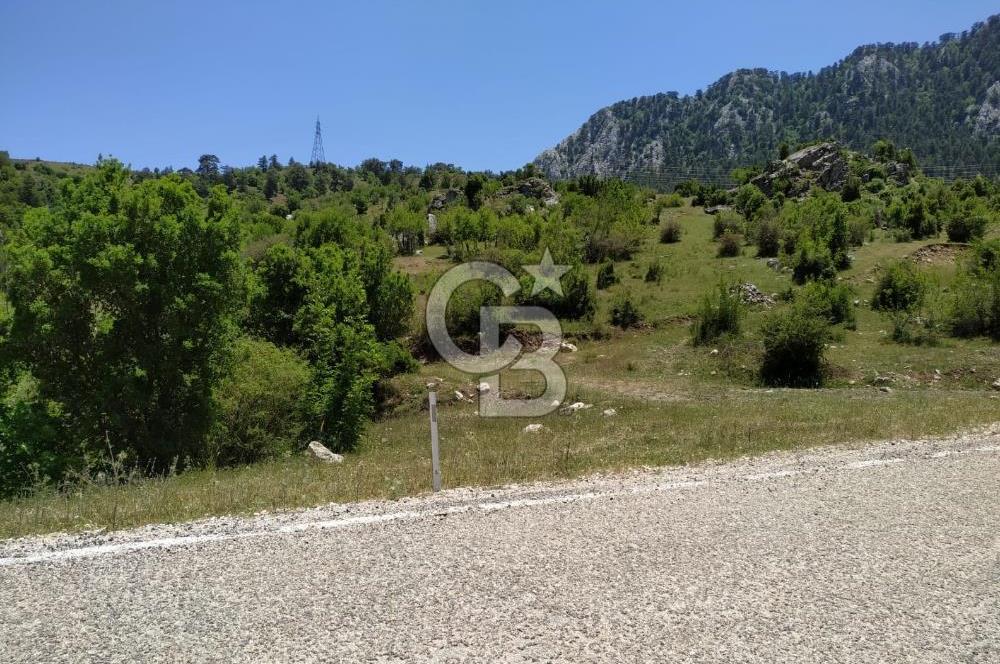 Yatırım Fırsatı,KEMER Ovacık, Anayol Üzeri Tarla