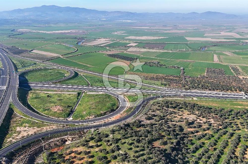 İzmir Bergama Zeytindağ'da Liman Bölgesi Satılık Fırsat Zeytinlik