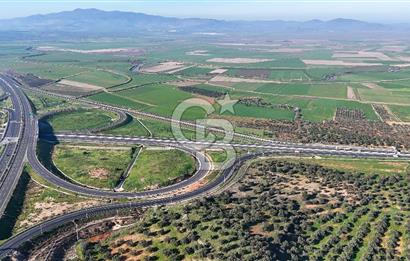 İzmir Bergama Zeytindağ'da Liman Bölgesi Satılık Fırsat Zeytinlik
