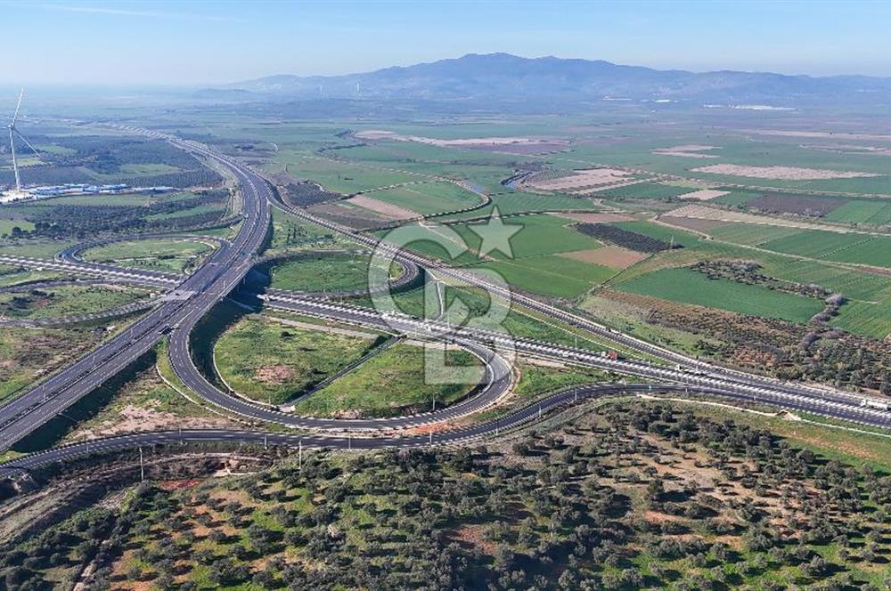 İzmir Bergama Zeytindağ'da Liman Bölgesi Satılık Fırsat Zeytinlik