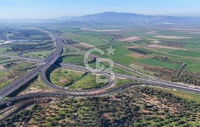 İzmir Bergama Zeytindağ'da Liman Bölgesi Satılık Fırsat Zeytinlik