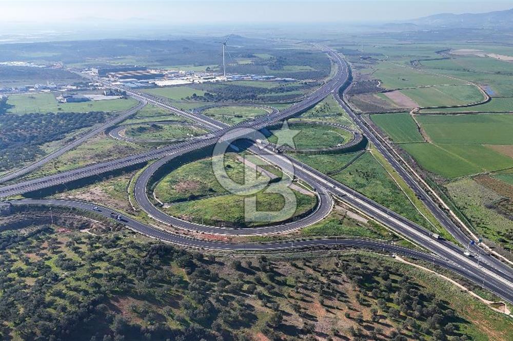 İzmir Bergama Zeytindağ'da Liman Bölgesi Satılık Fırsat Zeytinlik