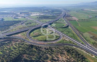 İzmir Bergama Zeytindağ'da Liman Bölgesi Satılık Fırsat Zeytinlik