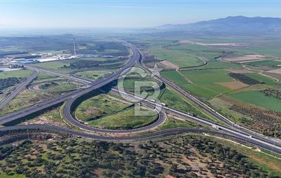 İzmir Bergama Zeytindağ'da Liman Bölgesi Satılık Fırsat Zeytinlik