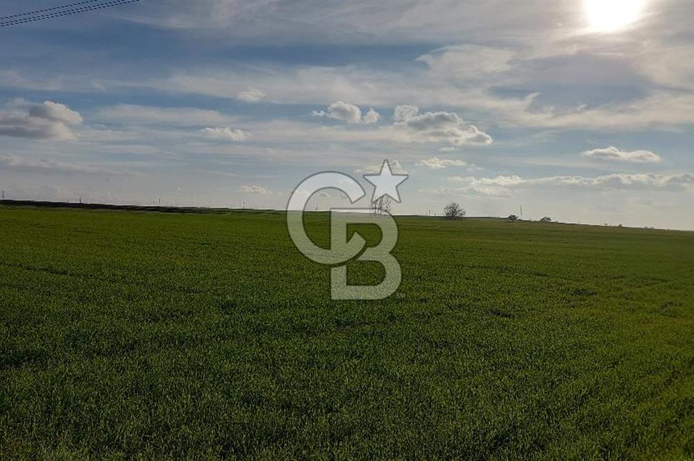 Tekirdağ Çorlu Türkgücü'de Satılık 11.100 M2 tarla