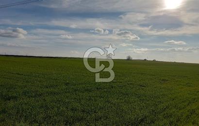 Tekirdağ Çorlu Türkgücü'de Satılık 11.100 M2 tarla
