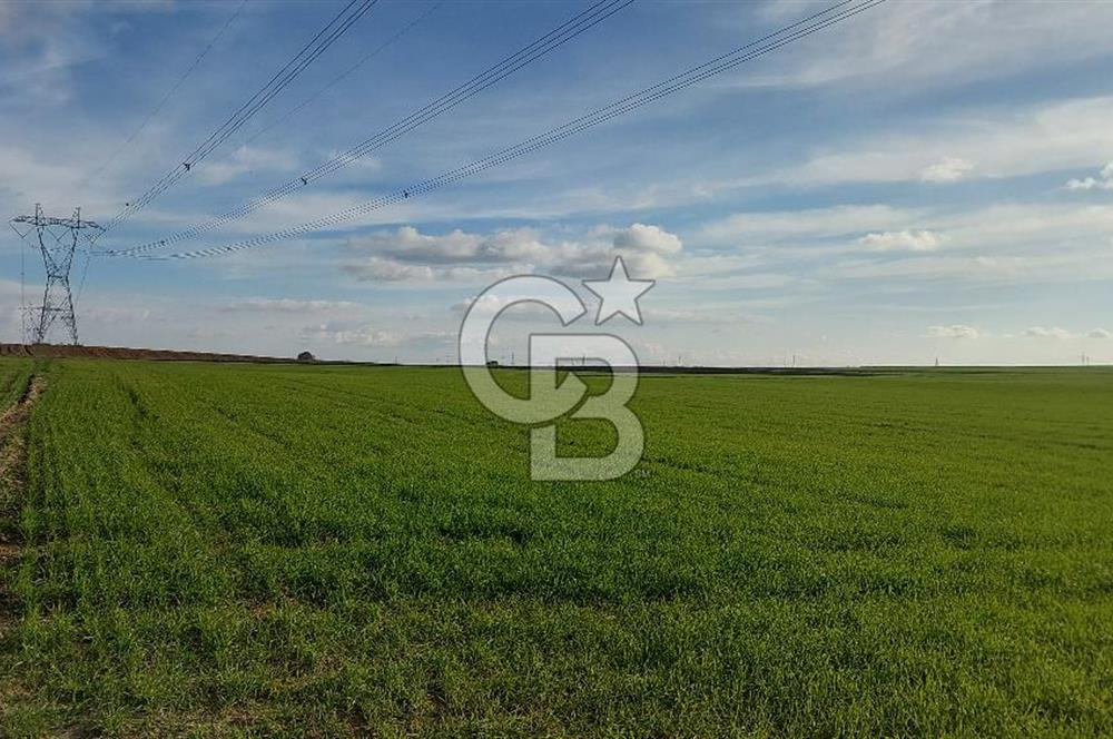 Tekirdağ Çorlu Türkgücü'de Satılık 11.100 M2 tarla