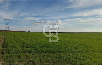 Tekirdağ Çorlu Türkgücü'de Satılık 11.100 M2 tarla