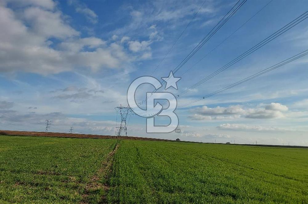 Tekirdağ Çorlu Türkgücü'de Satılık 11.100 M2 tarla