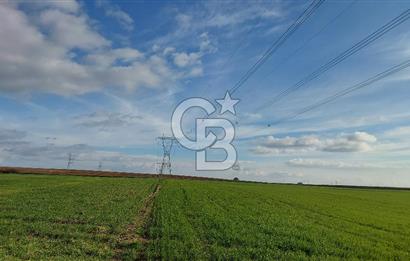 Tekirdağ Çorlu Türkgücü'de Satılık 11.100 M2 tarla