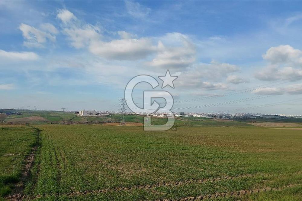 Tekirdağ Çorlu Türkgücü'de Satılık 11.100 M2 tarla