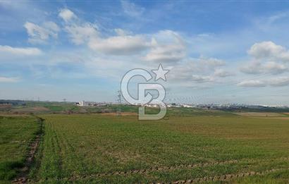 Tekirdağ Çorlu Türkgücü'de Satılık 11.100 M2 tarla