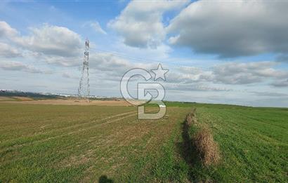 Tekirdağ Çorlu Türkgücü'de Satılık 11.100 M2 tarla