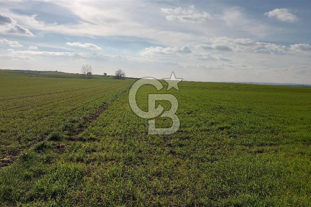 Tekirdağ Çorlu Türkgücü'de Satılık 11.100 M2 tarla