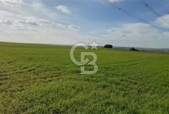 Tekirdağ Çorlu Türkgücü'de Satılık 11.100 M2 tarla - 1 - 323947