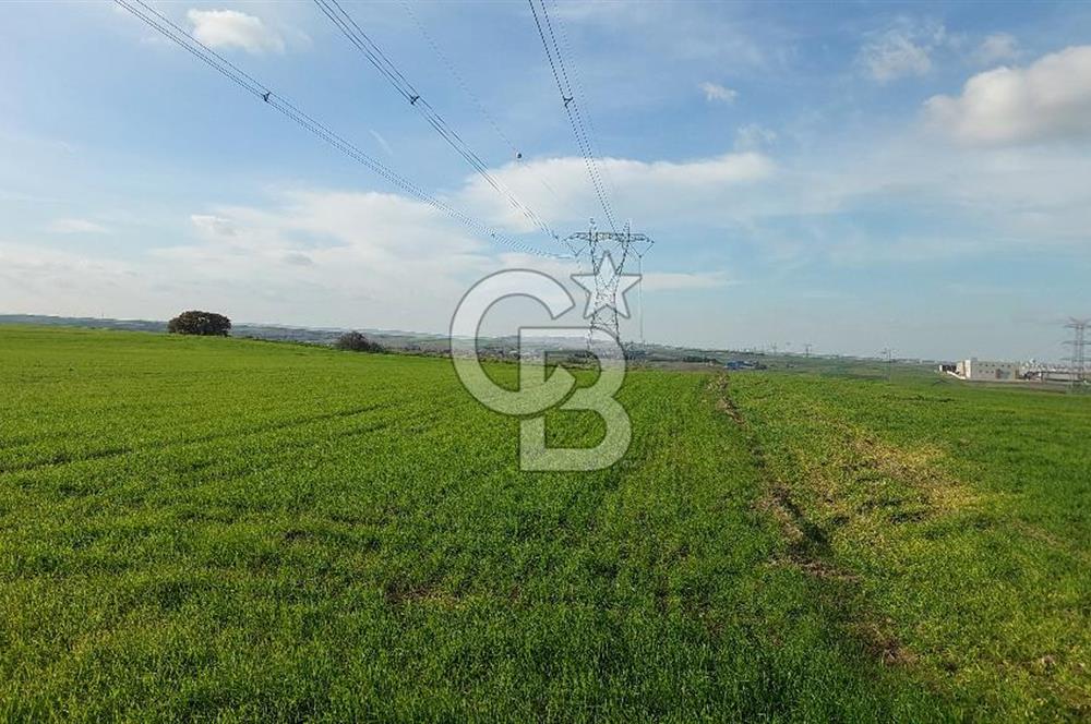 Tekirdağ Çorlu Türkgücü'de Satılık 11.100 M2 tarla