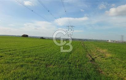 Tekirdağ Çorlu Türkgücü'de Satılık 11.100 M2 tarla