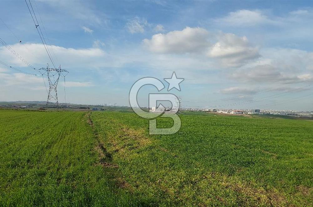 Tekirdağ Çorlu Türkgücü'de Satılık 11.100 M2 tarla