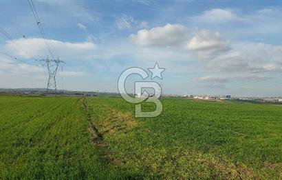 Tekirdağ Çorlu Türkgücü'de Satılık 11.100 M2 tarla