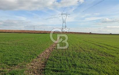 Tekirdağ Çorlu Türkgücü'de Satılık 11.100 M2 tarla